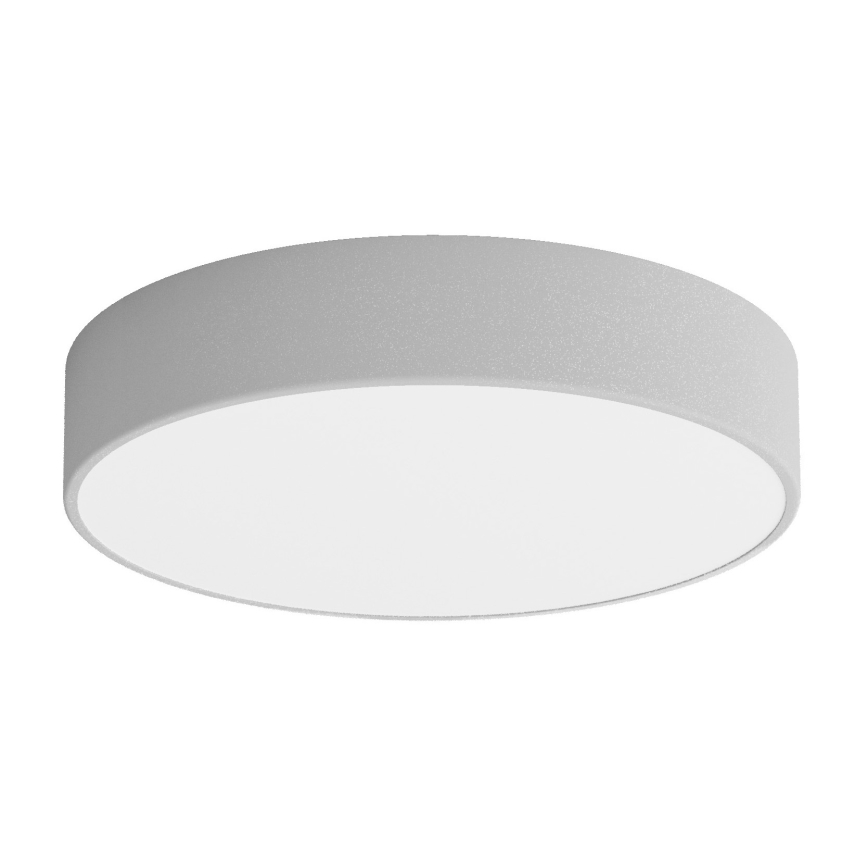 LED Stropna svjetiljka CLEO LED/43W/230V 4000K pr. 40 cm siva