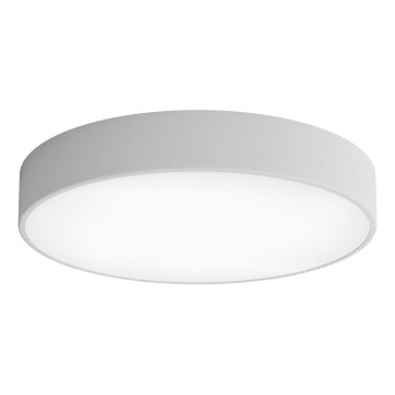 LED Stropna svjetiljka CLEO LED/69W/230V 3000K pr. 50 cm siva