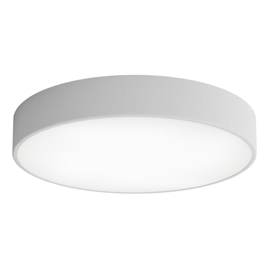 LED Stropna svjetiljka CLEO LED/69W/230V 4000K pr. 50 cm siva