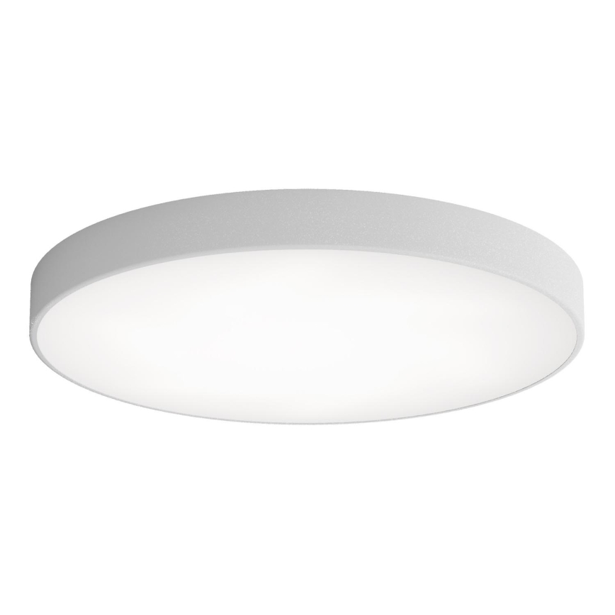 LED Stropna svjetiljka CLEO LED/96W/230V 4000K pr. 80 cm siva