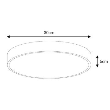 LED Stropna svjetiljka FELIZ LED/30W/230V 4000K pr. 30 cm crna