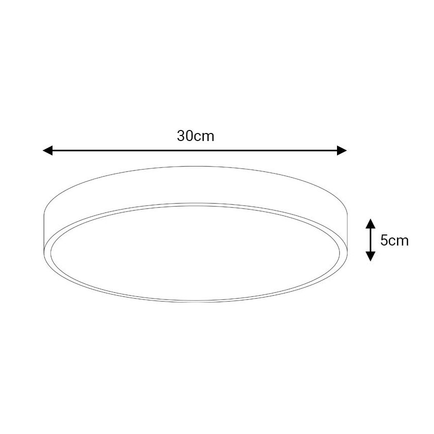 LED Stropna svjetiljka FELIZ LED/30W/230V 4000K pr. 30 cm crna