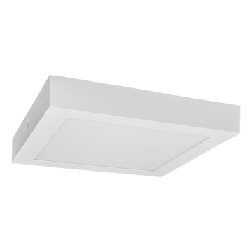 LED Stropna svjetiljka FENIX LED/12W/230V 2800K 17 cm