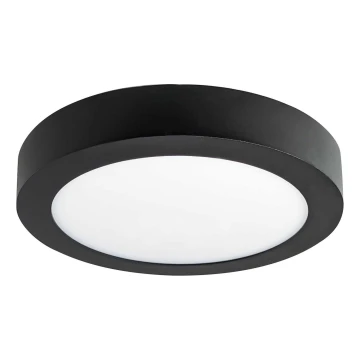 LED Stropna svjetiljka FENIX LED/12W/230V 2800K pr. 17 cm