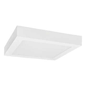 LED Stropna svjetiljka FENIX LED/18W/230V 3800K 22,5 cm snježno bijela