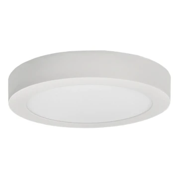 LED Stropna svjetiljka FENIX LED/18W/230V 3800K pr. 22,5 cm