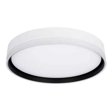 LED Stropna svjetiljka FLORIDA LED/24W/230V bijela