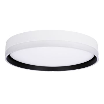 LED Stropna svjetiljka FLORIDA LED/24W/230V bijela