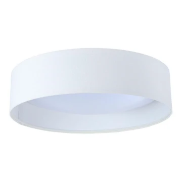 LED Stropna svjetiljka GALAXY LED/24W/230V bijela