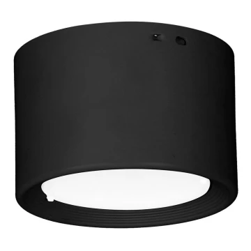 LED Stropna svjetiljka LED/10W/230V crna pr. 10 cm