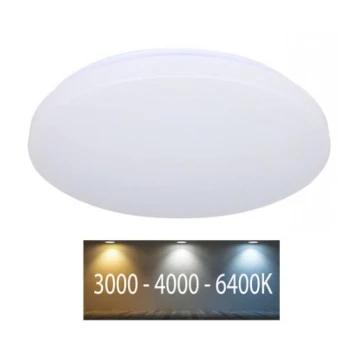 LED Stropna svjetiljka LED/12W/230V 26cm 3000K/4000K/6400K