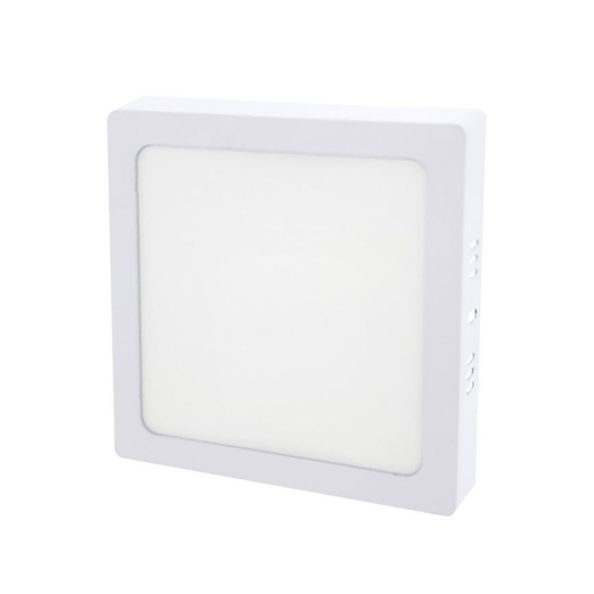 LED Stropna svjetiljka LED/12W/230V 2700K