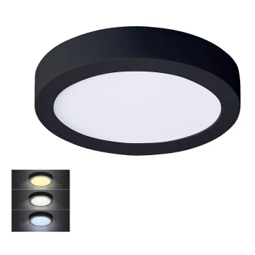 LED Stropna svjetiljka LED/12W/230V 3000/4000/6000K crna okrugli
