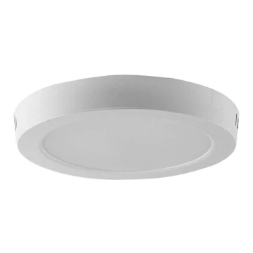 LED Stropna svjetiljka LED/12W/230V 3000K bijela