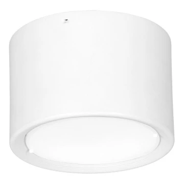 LED Stropna svjetiljka LED/16W/230V bijela pr. 12 cm