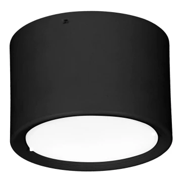 LED Stropna svjetiljka LED/16W/230V crna pr. 12 cm
