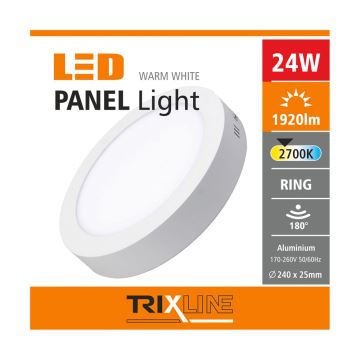 LED Stropna svjetiljka LED/24W/230V 2700K