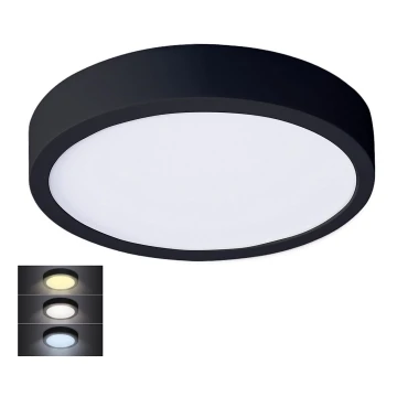 LED Stropna svjetiljka LED/24W/230V 3000/4000/6000K crna okrugli