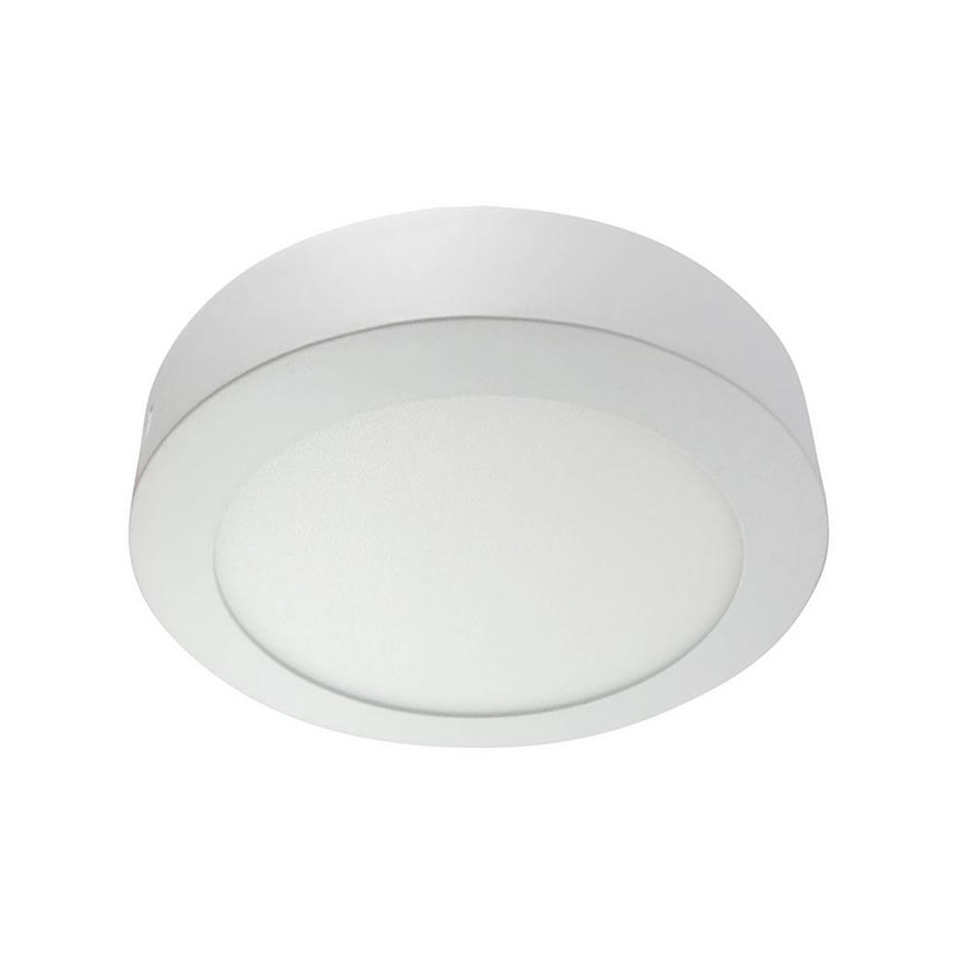 LED Stropna svjetiljka LED/24W/230V 4200K