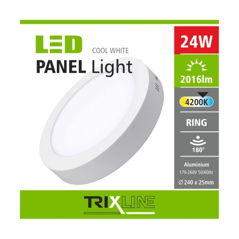 LED Stropna svjetiljka LED/24W/230V 4200K