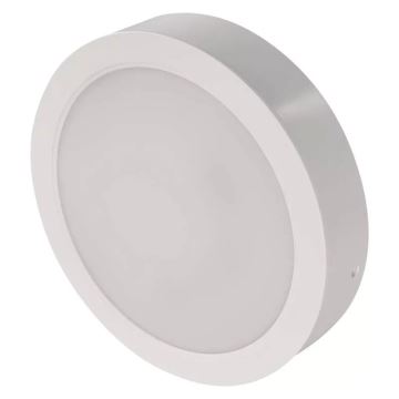 LED Stropna svjetiljka LED/24W/230V pr. 22 cm bijela