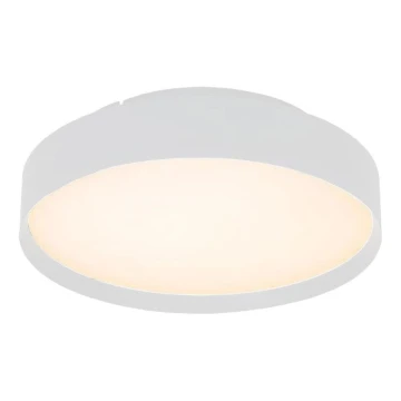 LED Stropna svjetiljka LED/40W/230V 3000K pr. 45 cm bijela