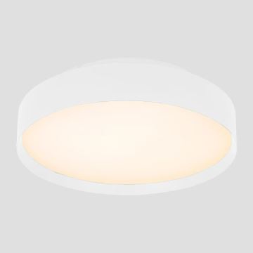 LED Stropna svjetiljka LED/40W/230V 3000K pr. 45 cm bijela