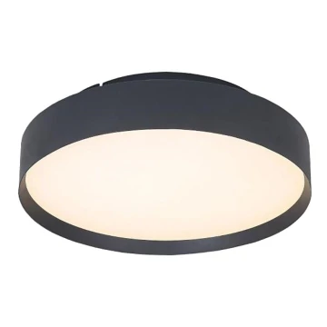 LED Stropna svjetiljka LED/40W/230V 3000K pr. 45 cm crna