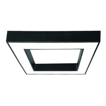 LED Stropna svjetiljka LED/55W/230V 4000K 80x80 cm