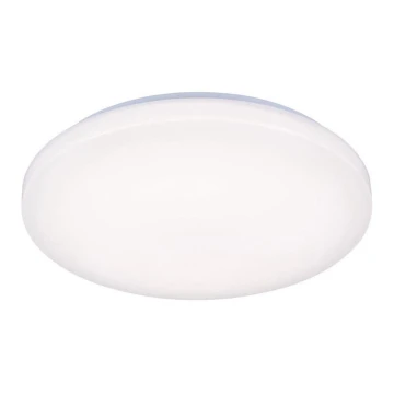 LED Stropna svjetiljka OPAL LED/50W/176-264V