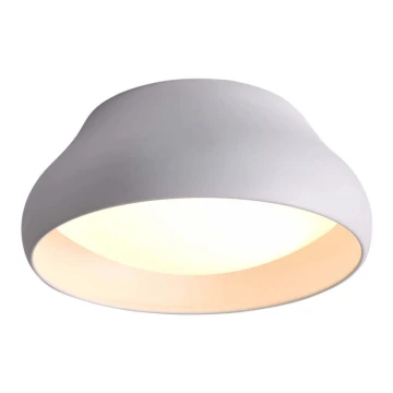 LED Stropna svjetiljka PADDY LED/24W/230V bijela