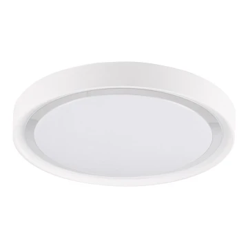 LED Stropna svjetiljka PERSE LED/15W/230V bijela
