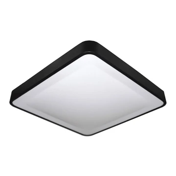 LED Stropna svjetiljka sa senzorom WILTON LED/24W/230V crna