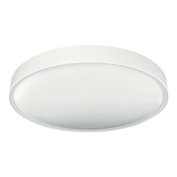 LED Stropna svjetiljka SAMER LED/24W/230V 4000K