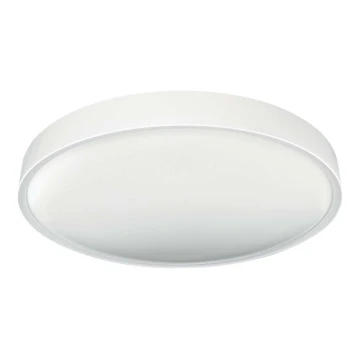 LED Stropna svjetiljka SAMER LED/32W/230V 4000K