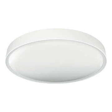 LED Stropna svjetiljka SAMER LED/40W/230V 4000K