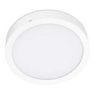 LED Stropna svjetiljka SIGARO CIRCLE LED/24W/230V 4000K IP40