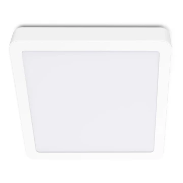 LED Stropna svjetiljka SIGARO SQUARE LED/18W/230V 4000K IP40