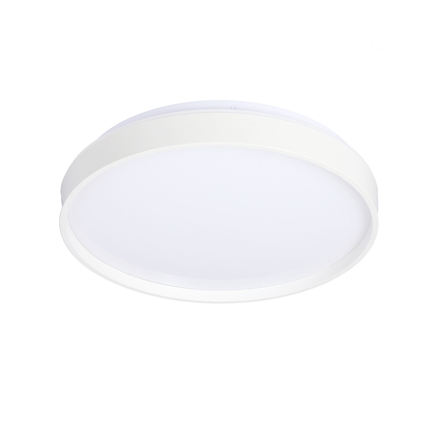LED Stropna svjetiljka TEXAS LED/15W/230V bijela
