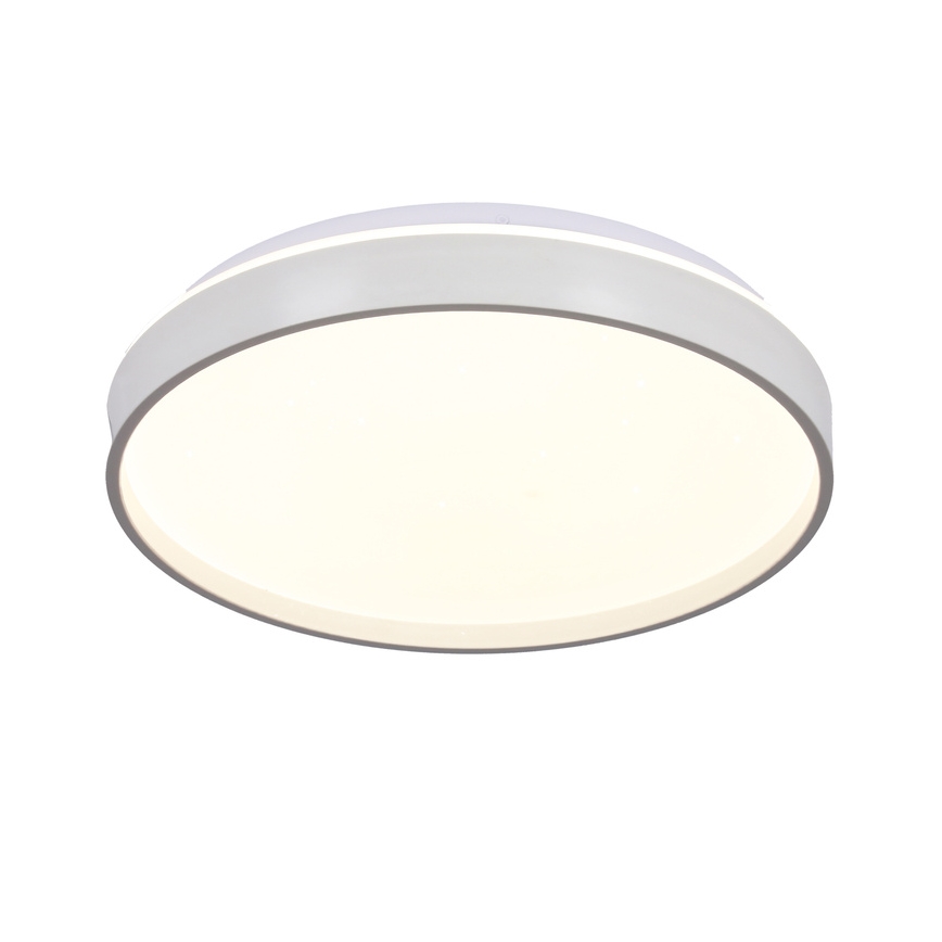 LED Stropna svjetiljka TEXAS LED/15W/230V bijela