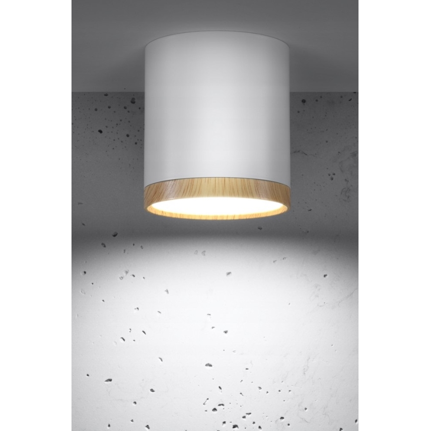 LED Stropna svjetiljka TUBA LED/5W/230V bijela/bež