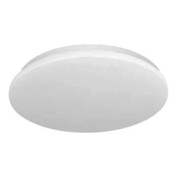 LED Stropna svjetiljka za kupaonicu ADAR LED/12W/230V IP44 4000K