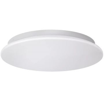 LED Stropna svjetiljka za kupaonicu ADAR LED/12W/230V IP44 4000K