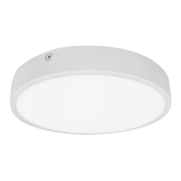 LED Stropna svjetiljka za kupaonicu EGON LED/16W/230V IP44 4000K