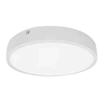 LED Stropna svjetiljka za kupaonicu EGON LED/30W/230V IP44 3000K