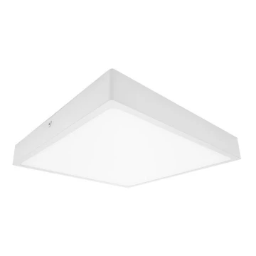 LED Stropna svjetiljka za kupaonicu EGON LED/30W/230V IP44 4000K