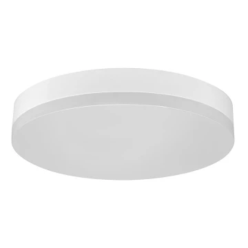 LED Stropna svjetiljka za kupaonicu LED/12W/230V IP44