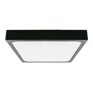 LED Stropna svjetiljka za kupaonicu LED/18W/230V 3000K IP44 crna