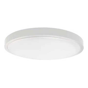 LED Stropna svjetiljka za kupaonicu LED/18W/230V 6500K IP44 bijela