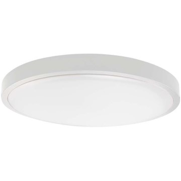 LED Stropna svjetiljka za kupaonicu LED/18W/230V IP44 3000K pr. 25 cm bijela